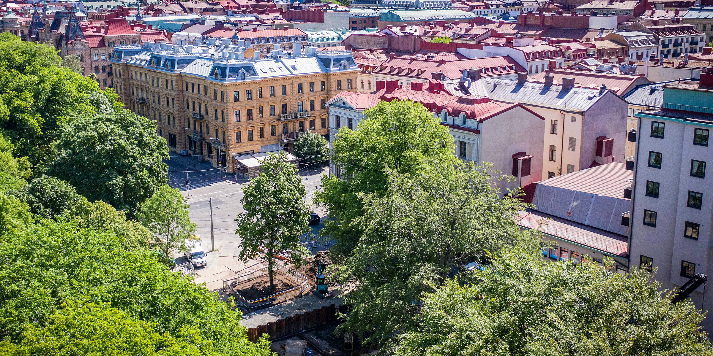 Baumverpflanzung in der Stadt