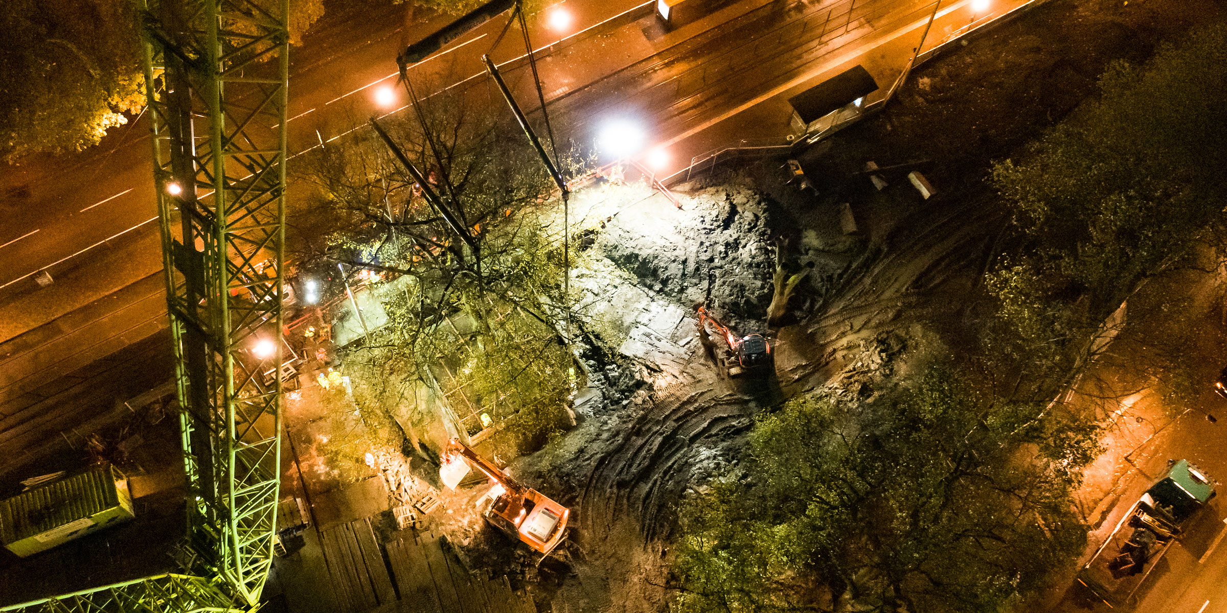 Umsiedlung von Bäumen in der Stadt