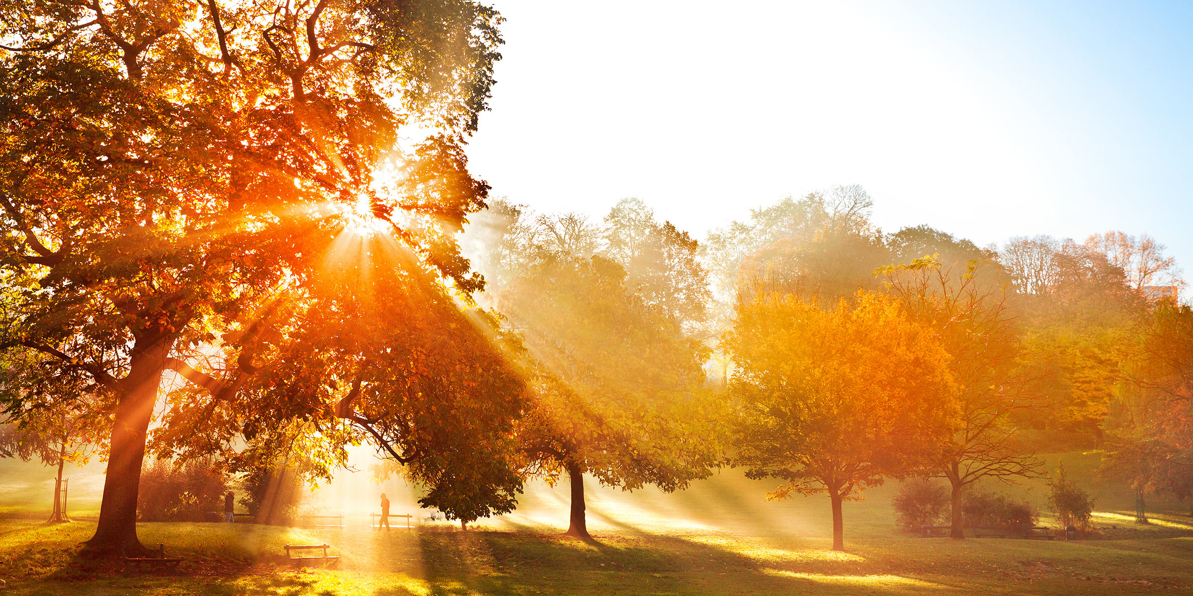 Parklandschaft im Herbst mit Sonnenstrahlen, die durch die Bäume scheinen